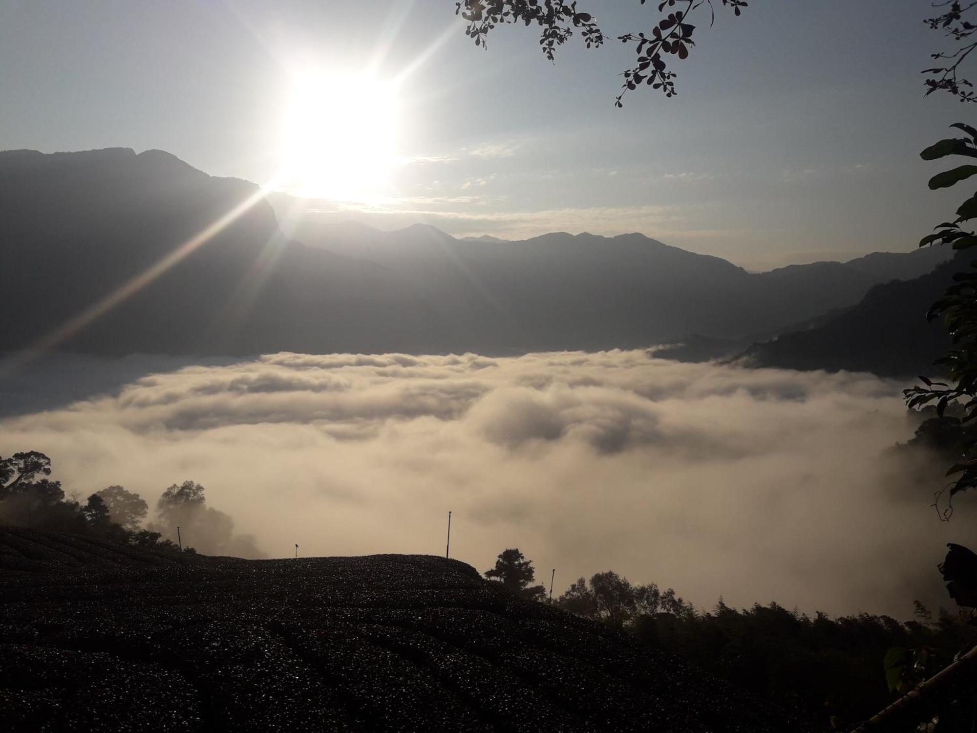 Alishan Shanyunhua B&B Homestay Meishan Luaran gambar